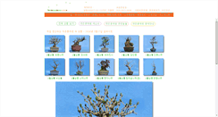 Desktop Screenshot of bomnamoo.com