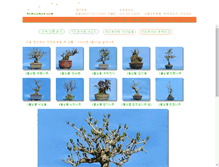Tablet Screenshot of bomnamoo.com
